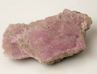 M 00015
<br/>
<br/>
<em></em>